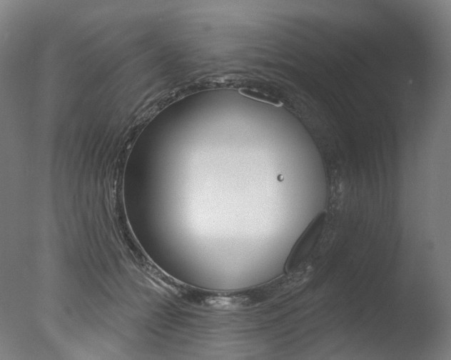 X0000077370558200610201017