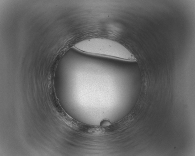 X0000077370559200610201017