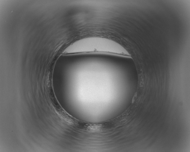 X0000077370560200610201017