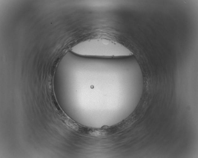 X0000077370561200610201017