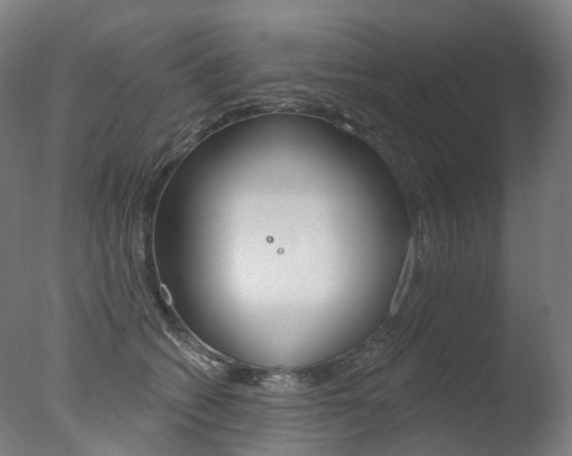 X0000077370562200610201017