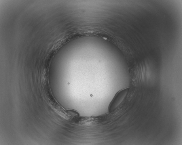 X0000077370563200610201017