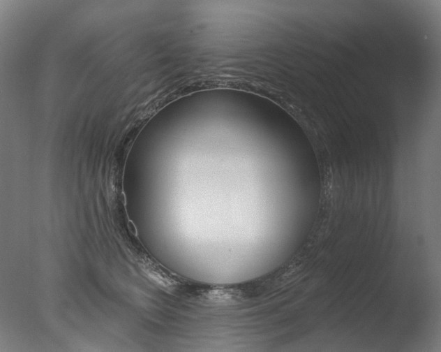 X0000077370566200610201017