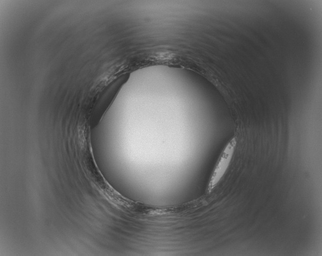 X0000077370568200610201017