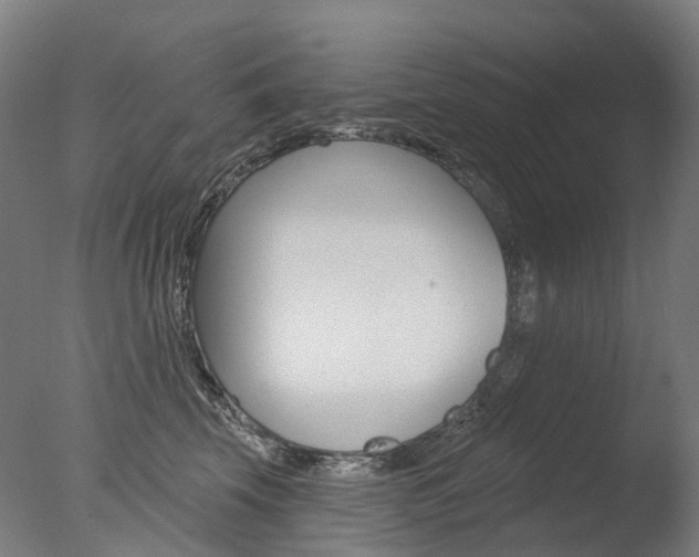 X0000077370569200610201017