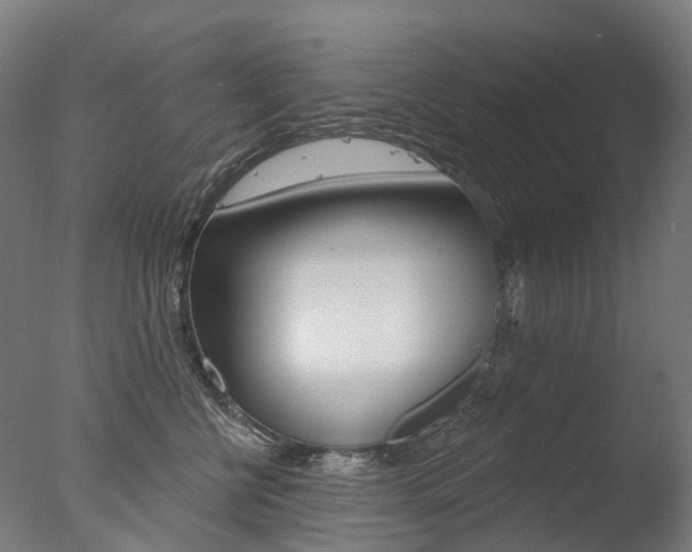 X0000077370570200610201017