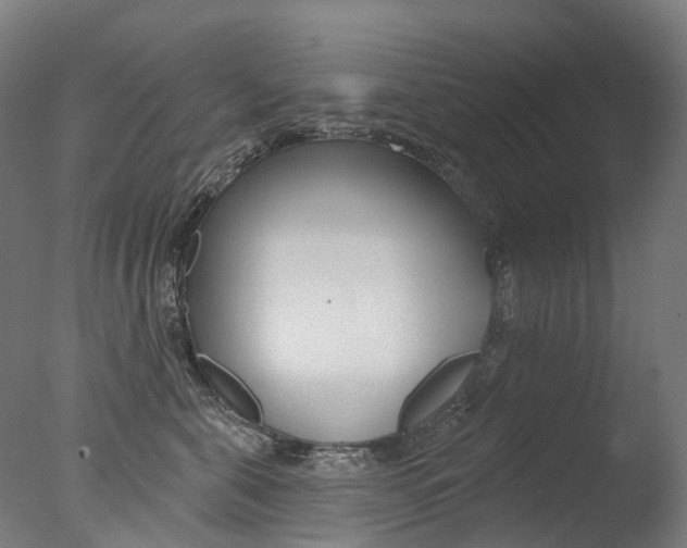 X0000077370571200610201017