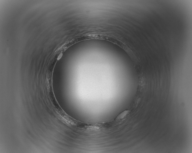 X0000077370572200610201017