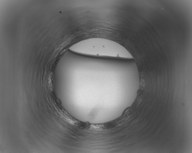 X0000077370573200610201017