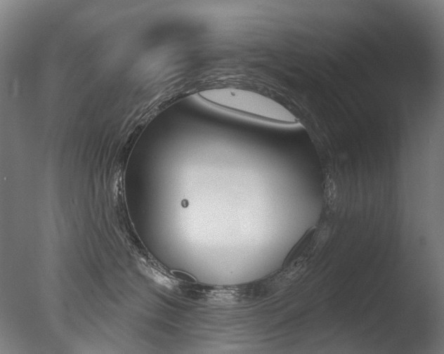 X0000077370574200610201017