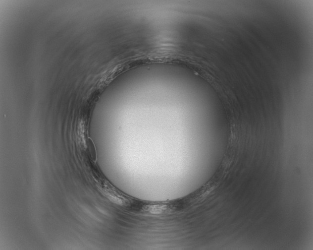 X0000077370575200610201017