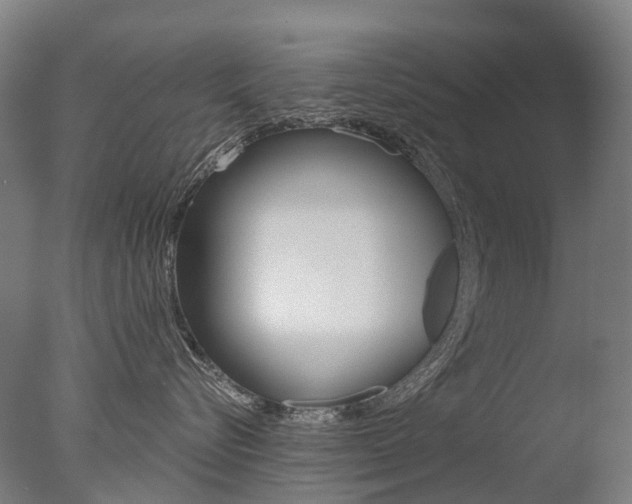 X0000077370576200610201017