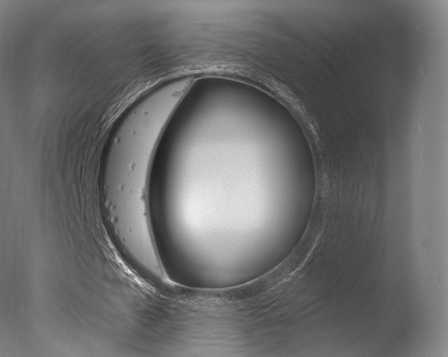 X0000077370577200610201016