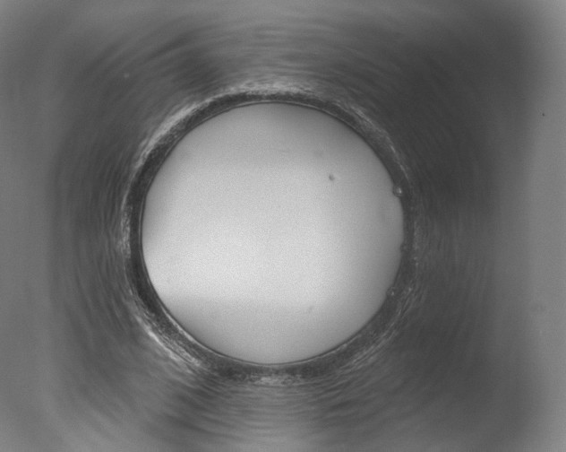 X0000077370584200610201016
