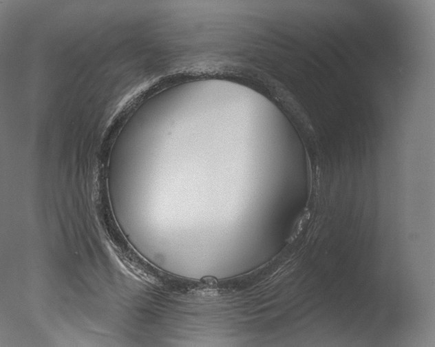 X0000077370588200610201016