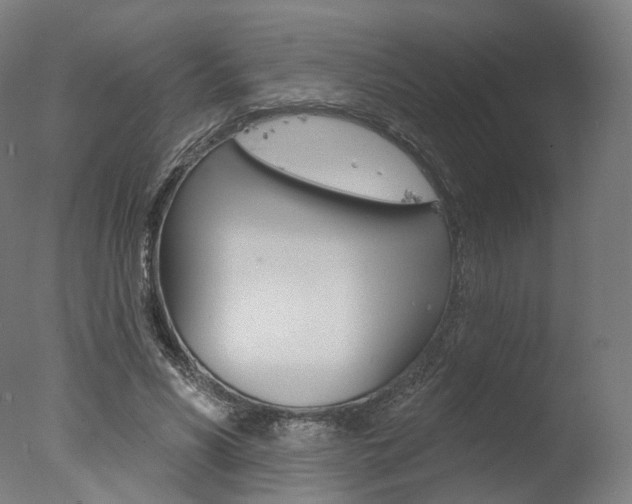 X0000077370590200610201016