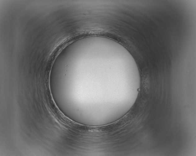 X0000077370591200610201016