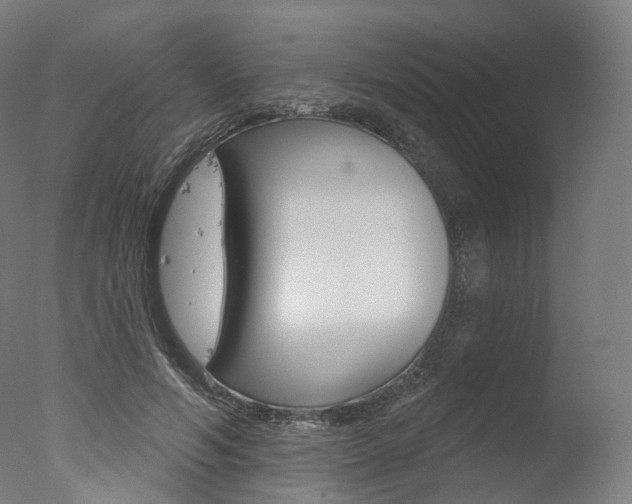 X0000077370594200610201016