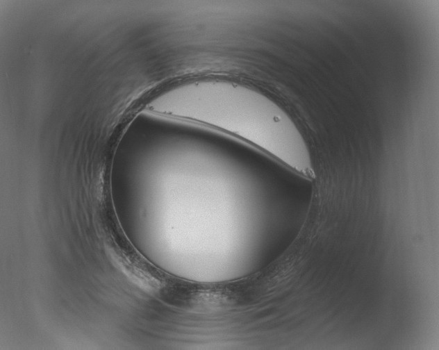 X0000077370596200610201016