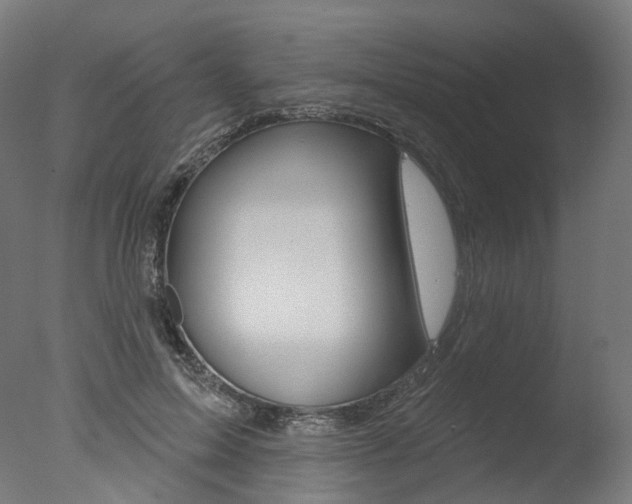 X0000077370599200610201016