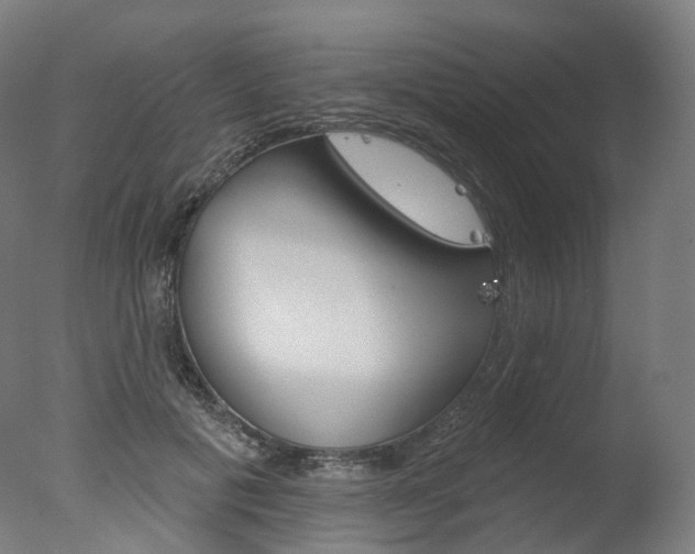 X0000077370601200610201016
