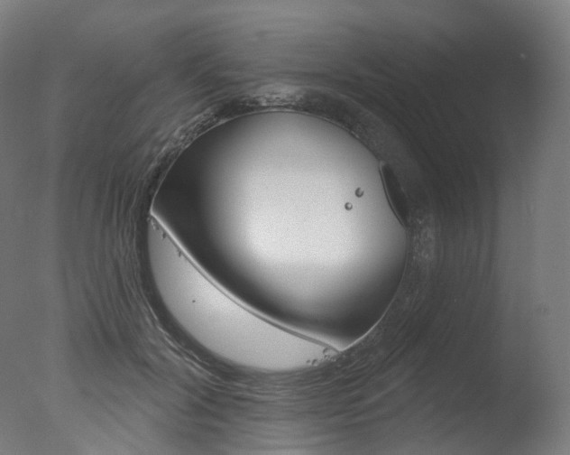 X0000077370604200610201016