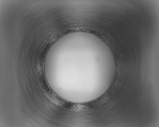 X0000077370607200610201016