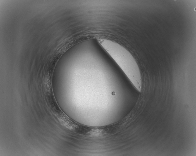 X0000077370609200610201016