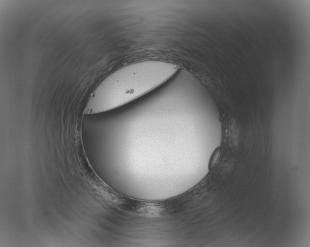 X0000077370610200610201016