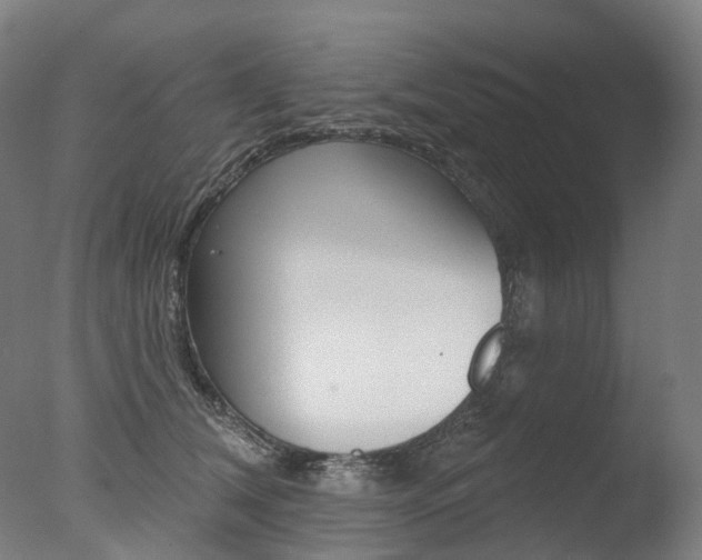 X0000077370612200610201016