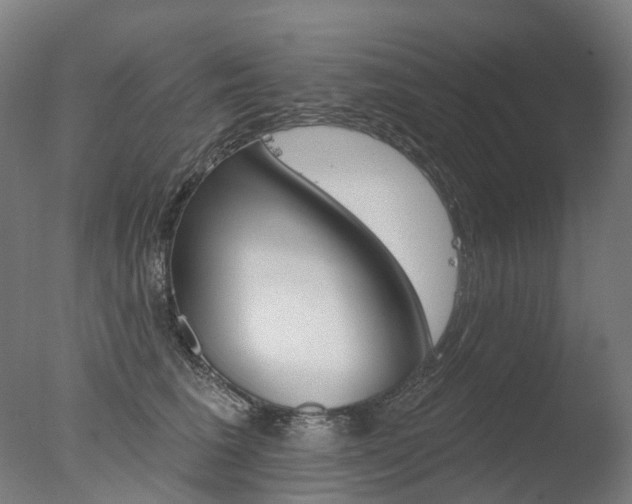 X0000077370613200610201016