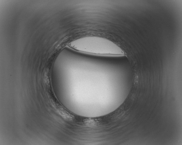 X0000077370616200610201016