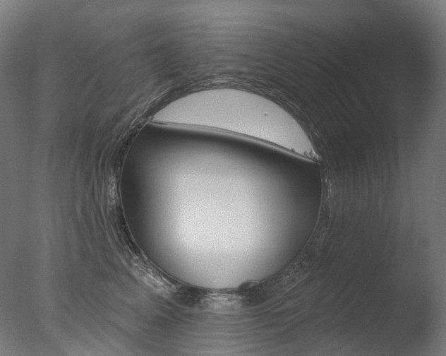 X0000077370617200610201016