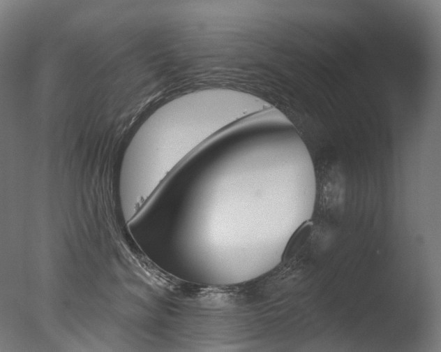 X0000077370620200610201016