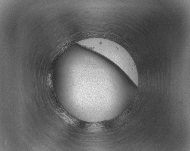 X0000077370621200610201016