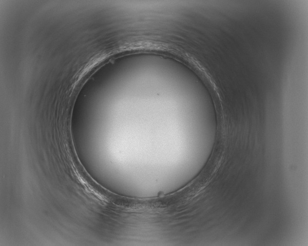 X0000077370625200610201015