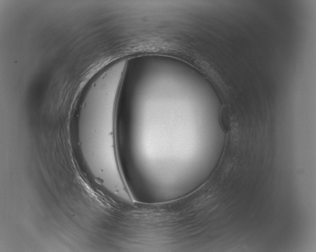 X0000077370626200610201015