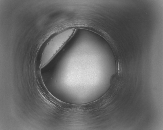 X0000077370627200610201015