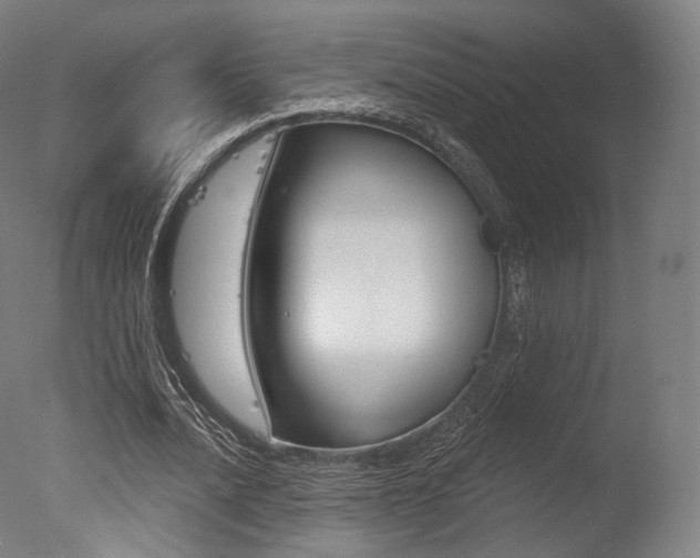 X0000077370628200610201015