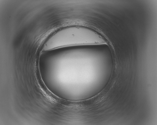 X0000077370629200610201015