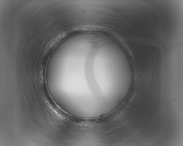 X0000077370633200610201015