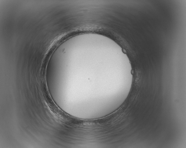 X0000077370636200610201015