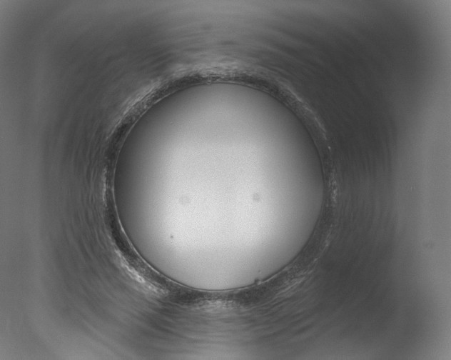 X0000077370637200610201015