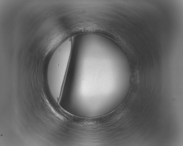 X0000077370638200610201015