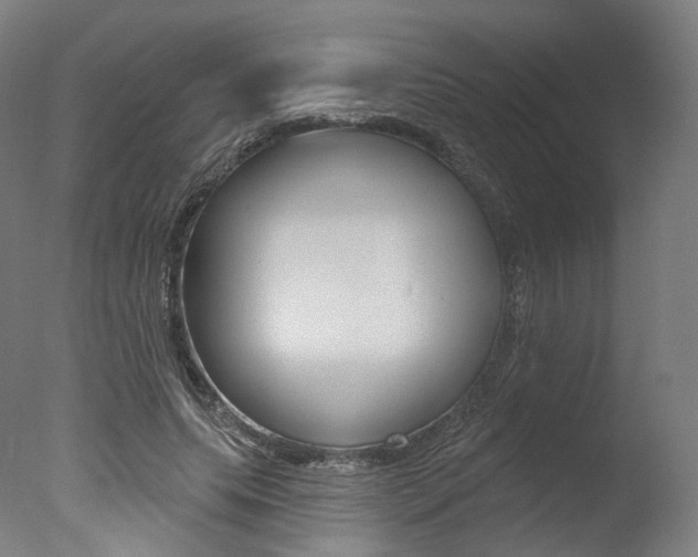 X0000077370639200610201015