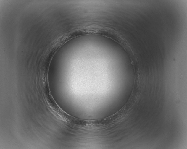 X0000077370641200610201015