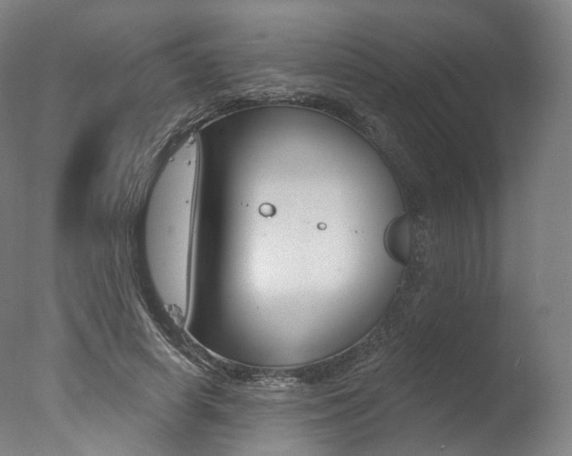 X0000077370642200610201015