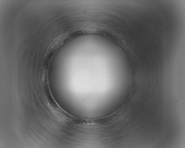 X0000077370645200610201015