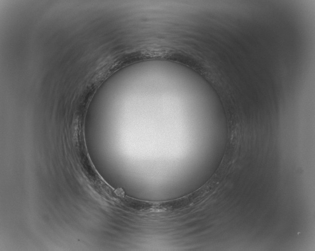 X0000077370647200610201015