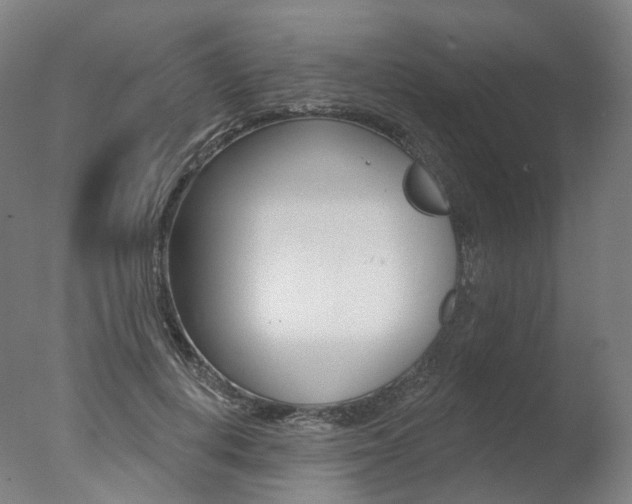 X0000077370648200610201015